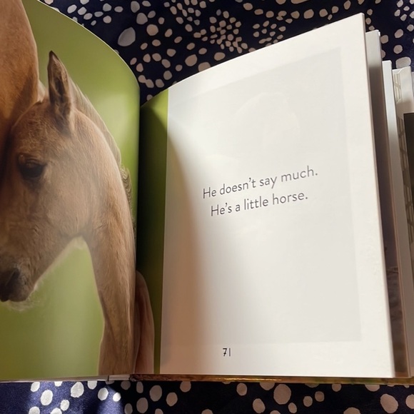 Animal Puns: Quack Me Up Book - Picture 7 of 7